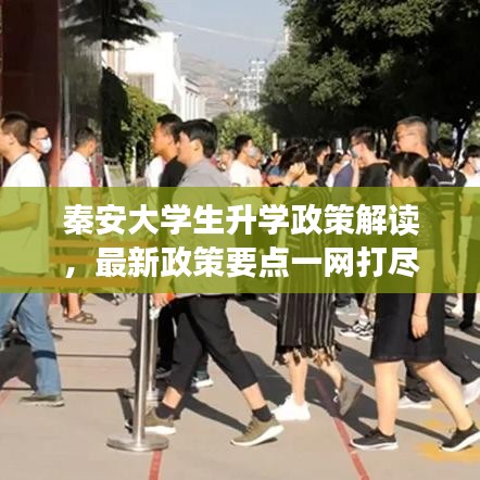 秦安大学生升学政策解读，最新政策要点一网打尽！
