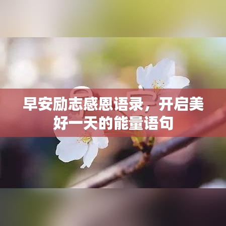 早安励志感恩语录，开启美好一天的能量语句