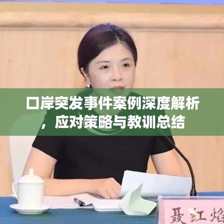 口岸突发事件案例深度解析，应对策略与教训总结