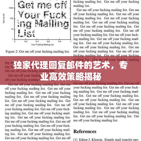 独家代理回复邮件的艺术，专业高效策略揭秘