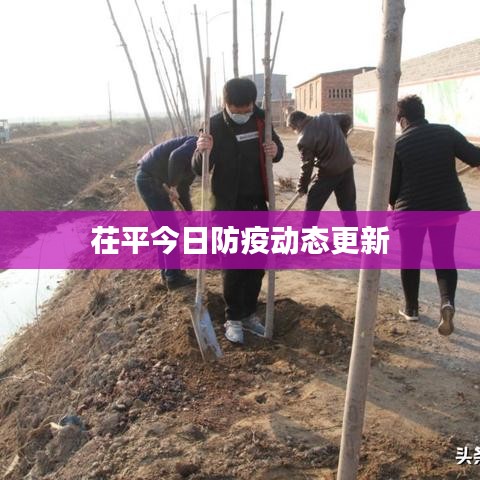 茌平今日防疫动态更新