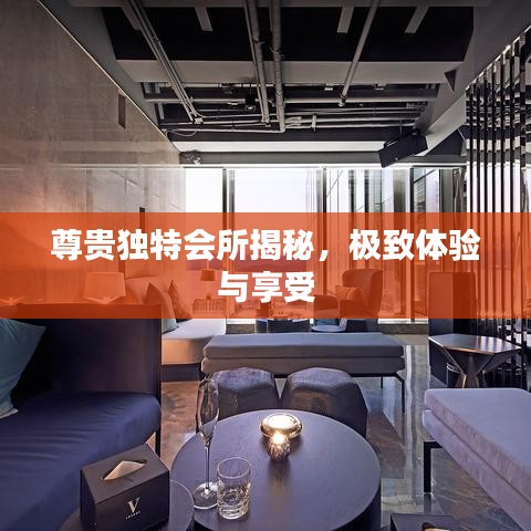 尊贵独特会所揭秘，极致体验与享受