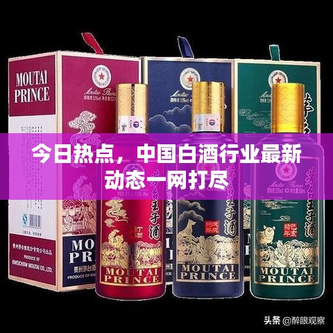 今日热点，中国白酒行业最新动态一网打尽