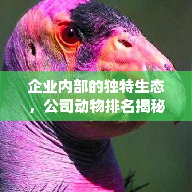 企业内部的独特生态，公司动物排名揭秘！