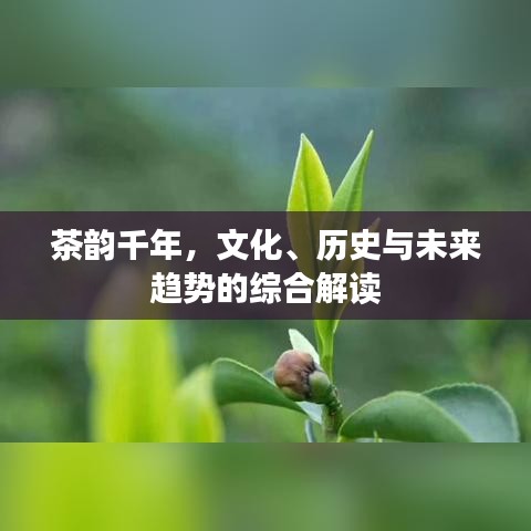 茶韵千年，文化、历史与未来趋势的综合解读