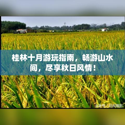 桂林十月游玩指南，畅游山水间，尽享秋日风情！
