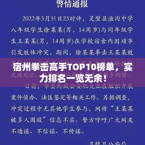 宿州拳击高手TOP10榜单，实力排名一览无余！