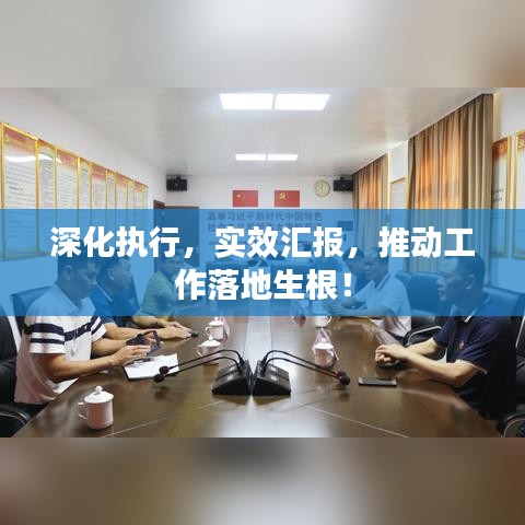 深化执行，实效汇报，推动工作落地生根！