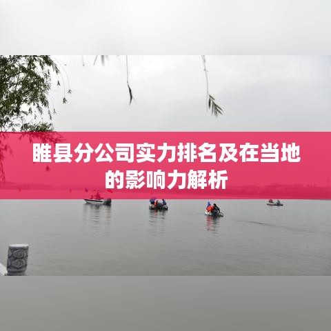 睢县分公司实力排名及在当地的影响力解析