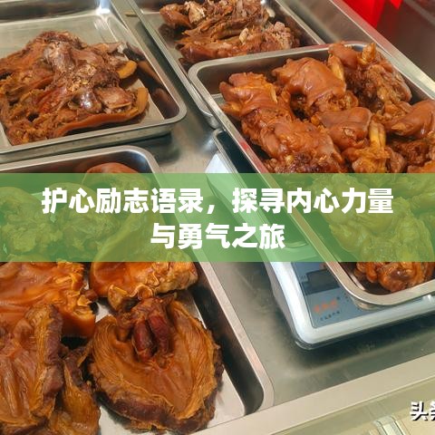 护心励志语录，探寻内心力量与勇气之旅