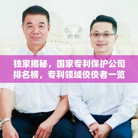 独家揭秘，国家专利保护公司排名榜，专利领域佼佼者一览无遗
