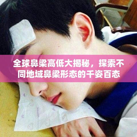 全球鼻梁高低大揭秘，探索不同地域鼻梁形态的千姿百态