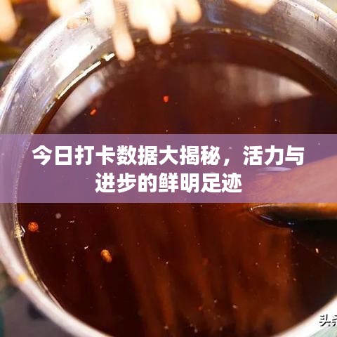 今日打卡数据大揭秘，活力与进步的鲜明足迹