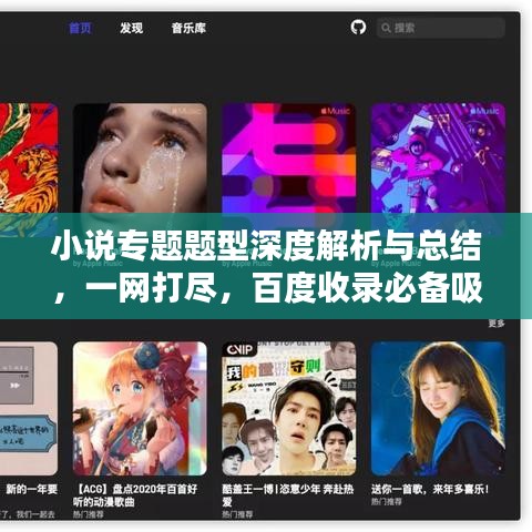 小说专题题型深度解析与总结，一网打尽，百度收录必备吸睛标题！