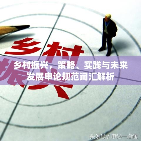 乡村振兴，策略、实践与未来发展申论规范词汇解析
