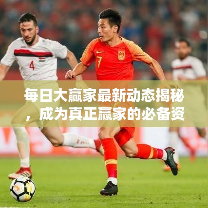 每日大赢家最新动态揭秘，成为真正赢家的必备资讯！