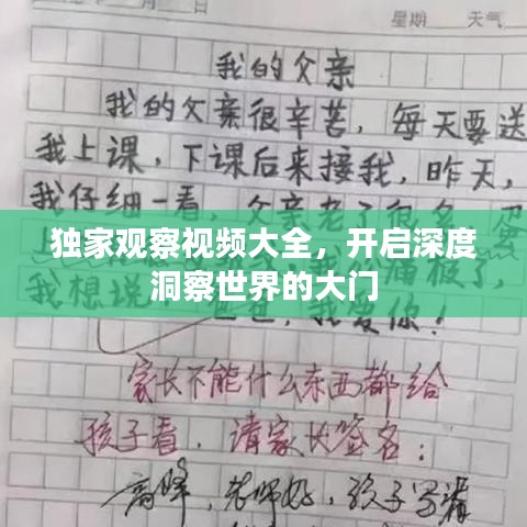 独家观察视频大全，开启深度洞察世界的大门