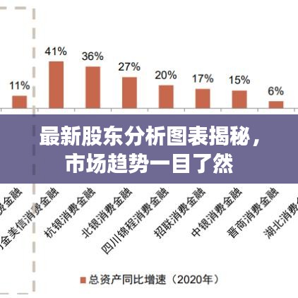 最新股东分析图表揭秘，市场趋势一目了然