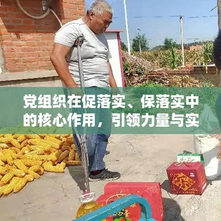 党组织在促落实、保落实中的核心作用，引领力量与实践价值
