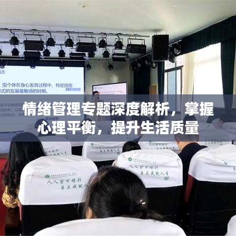 情绪管理专题深度解析，掌握心理平衡，提升生活质量