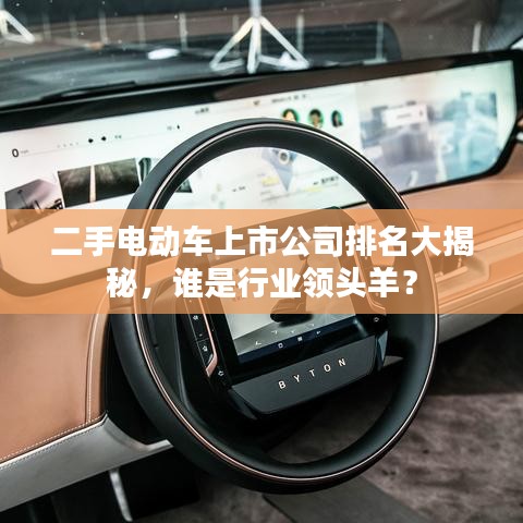 二手电动车上市公司排名大揭秘，谁是行业领头羊？