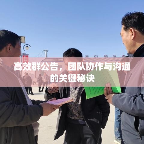 高效群公告，团队协作与沟通的关键秘诀