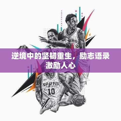 逆境中的坚韧重生，励志语录激励人心