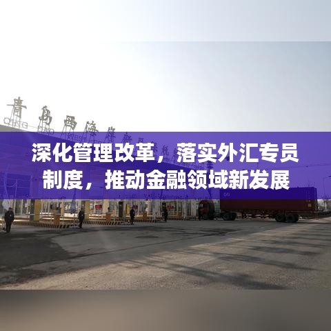 深化管理改革，落实外汇专员制度，推动金融领域新发展