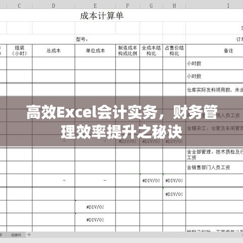 高效Excel会计实务，财务管理效率提升之秘诀