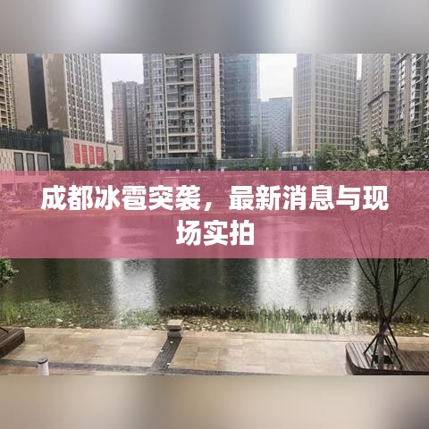 成都冰雹突袭，最新消息与现场实拍
