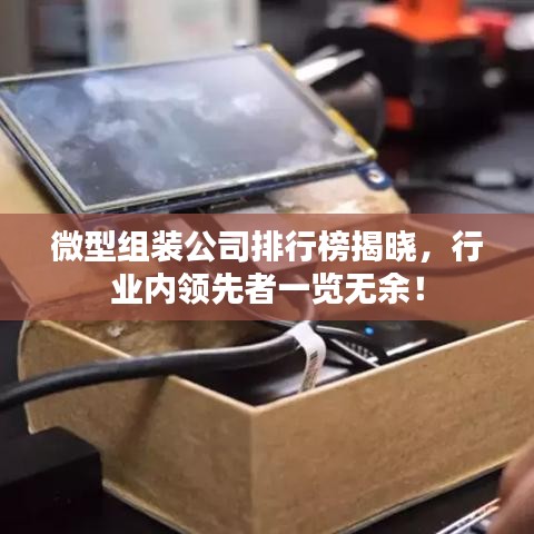 微型组装公司排行榜揭晓，行业内领先者一览无余！