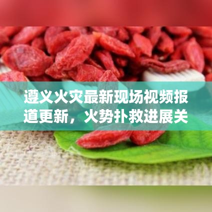 遵义火灾最新现场视频报道更新，火势扑救进展关注中