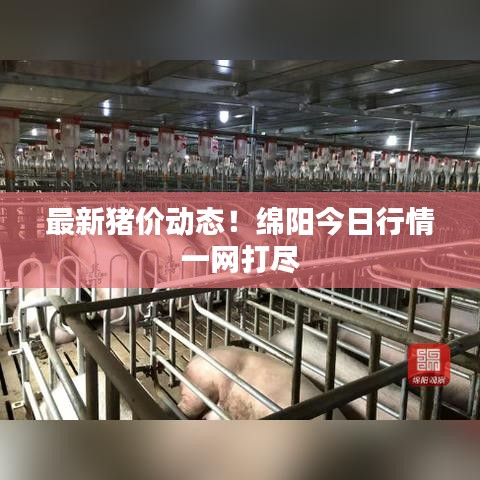 纡尊降贵