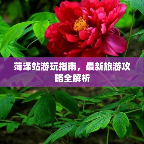 菏泽站游玩指南，最新旅游攻略全解析