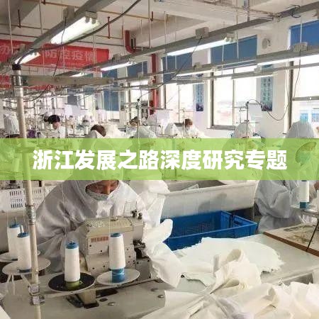 浙江发展之路深度研究专题