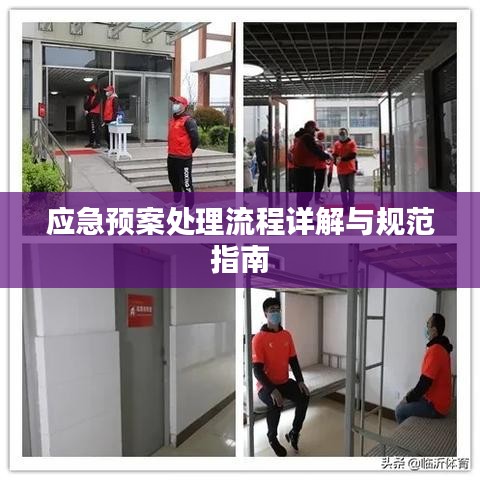 应急预案处理流程详解与规范指南