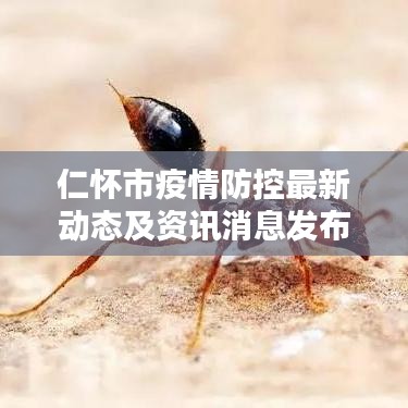 仁怀市疫情防控最新动态及资讯消息发布