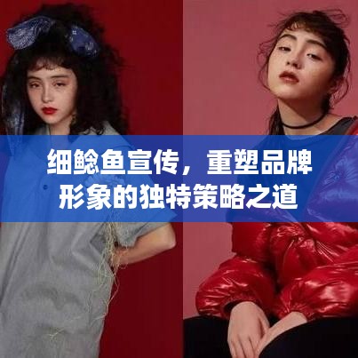 细鲶鱼宣传，重塑品牌形象的独特策略之道