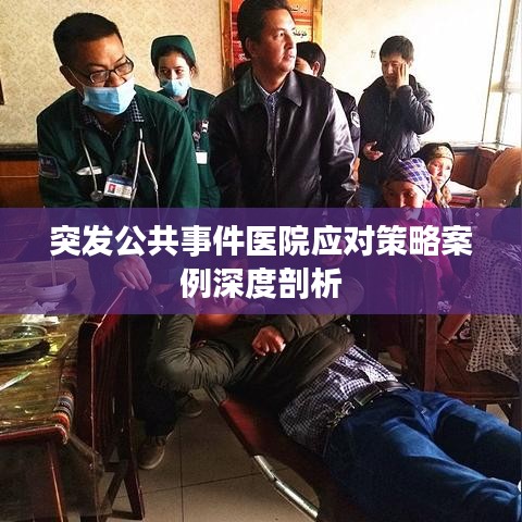 突发公共事件医院应对策略案例深度剖析