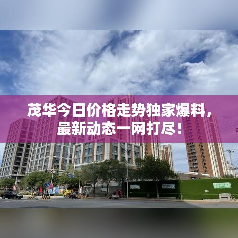 茂华今日价格走势独家爆料，最新动态一网打尽！
