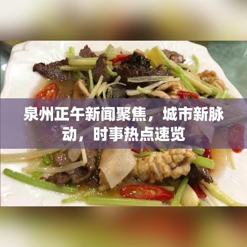 泉州正午新闻聚焦，城市新脉动，时事热点速览