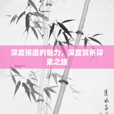 深度报道的魅力，深度赏析探索之旅