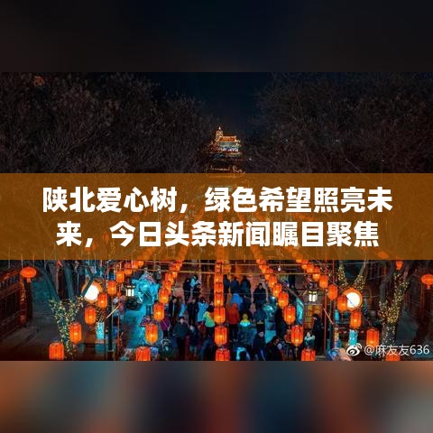 陕北爱心树，绿色希望照亮未来，今日头条新闻瞩目聚焦