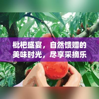 枇杷盛宴，自然馈赠的美味时光，尽享采摘乐趣