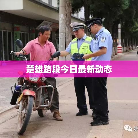 楚雄路段今日最新动态