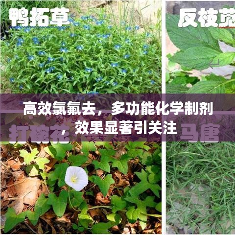 高效氯氟去，多功能化学制剂，效果显著引关注