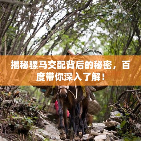 揭秘骡马交配背后的秘密，百度带你深入了解！