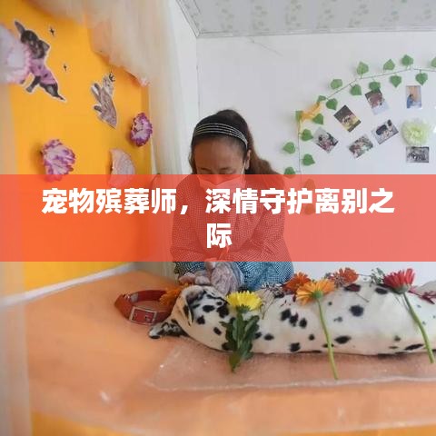 宠物殡葬师，深情守护离别之际