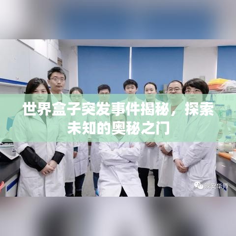 世界盒子突发事件揭秘，探索未知的奥秘之门