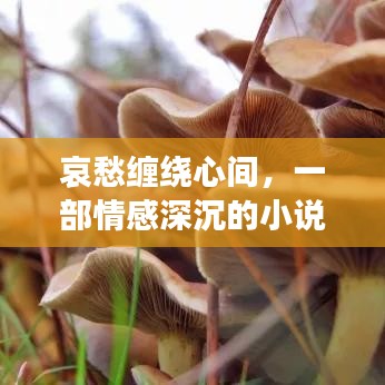 哀愁缠绕心间，一部情感深沉的小说故事